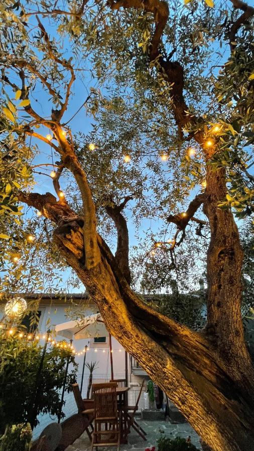 Foglie D'argento Holiday home Moneglia